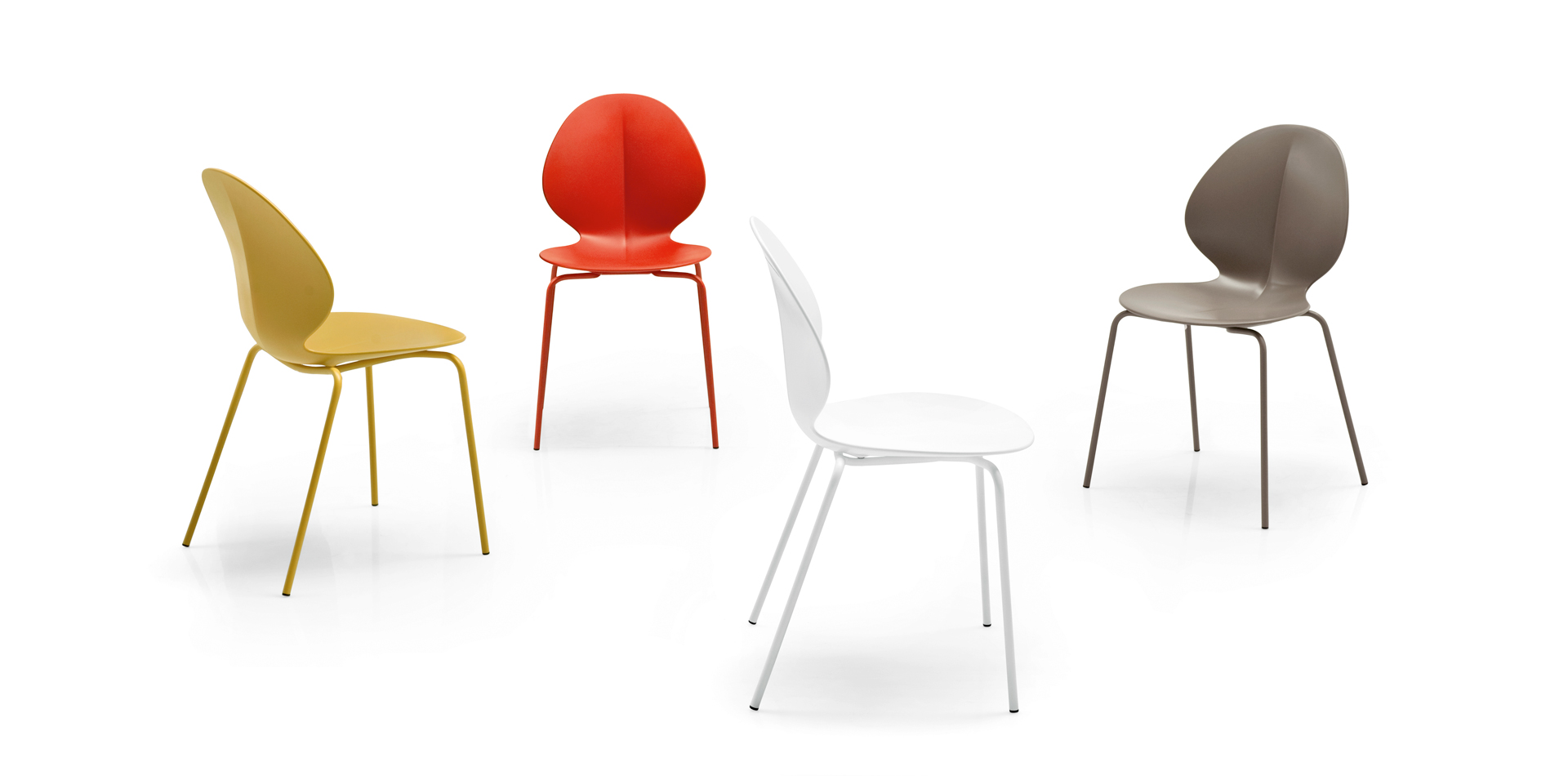 Basil Chair