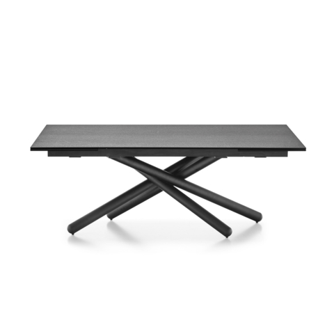 Duel Dining Table